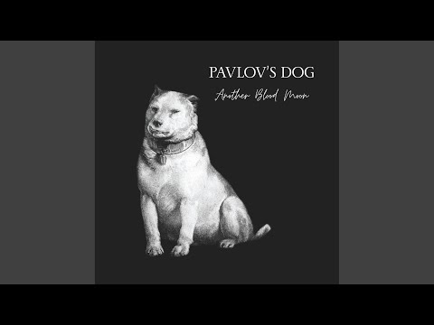Pavlov's Dog & The Werewolf: Armellitaa's Struggle