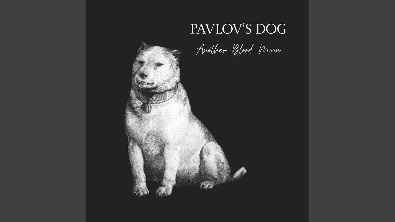 米プログレ Pavlov’s Dog 4タイトル 紙ジャケットボックスセット ソニー・ミュージック「プログレッシヴロック紙ジャケット