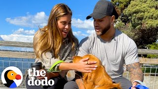 DogRescuing Couple Takes Their Dogs On The Best Day Ever | The Dodo