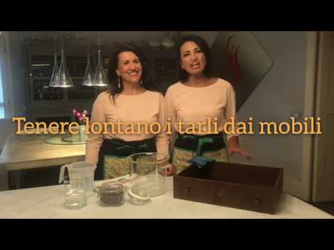 Come tenere lontano i tarli dai mobili youtube Come eliminare le tarme dai mobili