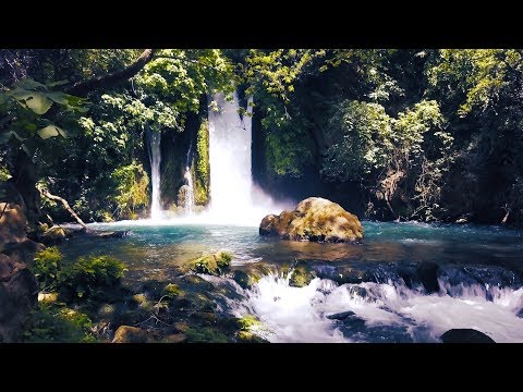 Banias Waterfall, Israel - 4K drone video - OKMediaProducties