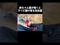 赤ちゃん猫が鳴くとすぐに駆け寄る先住猫 #保護子猫