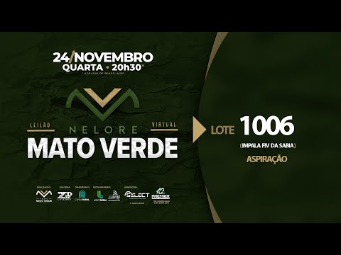 LOTE 1006