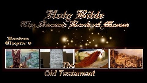 Exodus Chapter 8