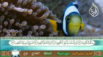 الحاج ميثم التمار - سورة الحاقة