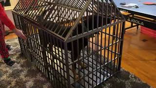 Heavy Duty Dog Crate for Large Dogs, Extra Large Dog Kennel Indoor, Heavy Duty, Lots of Room and