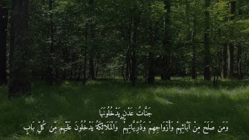 محاكاة القارئ أحمد النفيس للقارئ المنشاوي رحمه الله