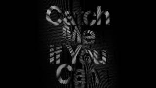 Catch me If You Can Japanese Ver  vocaloid cover