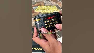 PEMASTERAN BURUNG JUARA