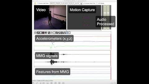 Visualization tool for multimodal musical gestures
