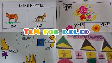 TLM for D.EL.ED #deled #wbbpe #microteaching #macroteaching