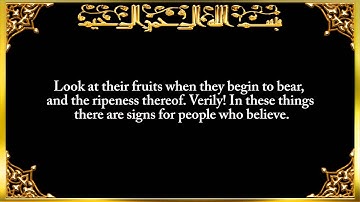 6. Surat Al-'An`ām (The Cattle) - سورة الأنعام