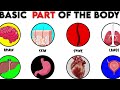 What each organ does in 60 seconds!