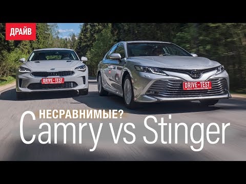 Toyota Camry 2018 или Kia Stinger — сравниваем свои машины