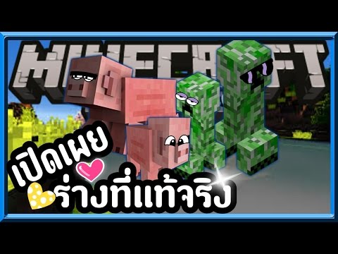 ร่างที่แท้จริงของหมูและครีปเปอร์สุดยอด Minecraft PE 0.16.0