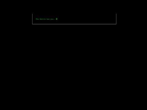 follow the white rabbit - Wordpress