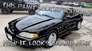 Restoring HORRIBLE Paint on LOW MILEAGE Mustang