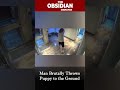 [BREAKING] Obsidian Dispatch: Man Brutally Throws Puppy to the Ground | Latest Update
