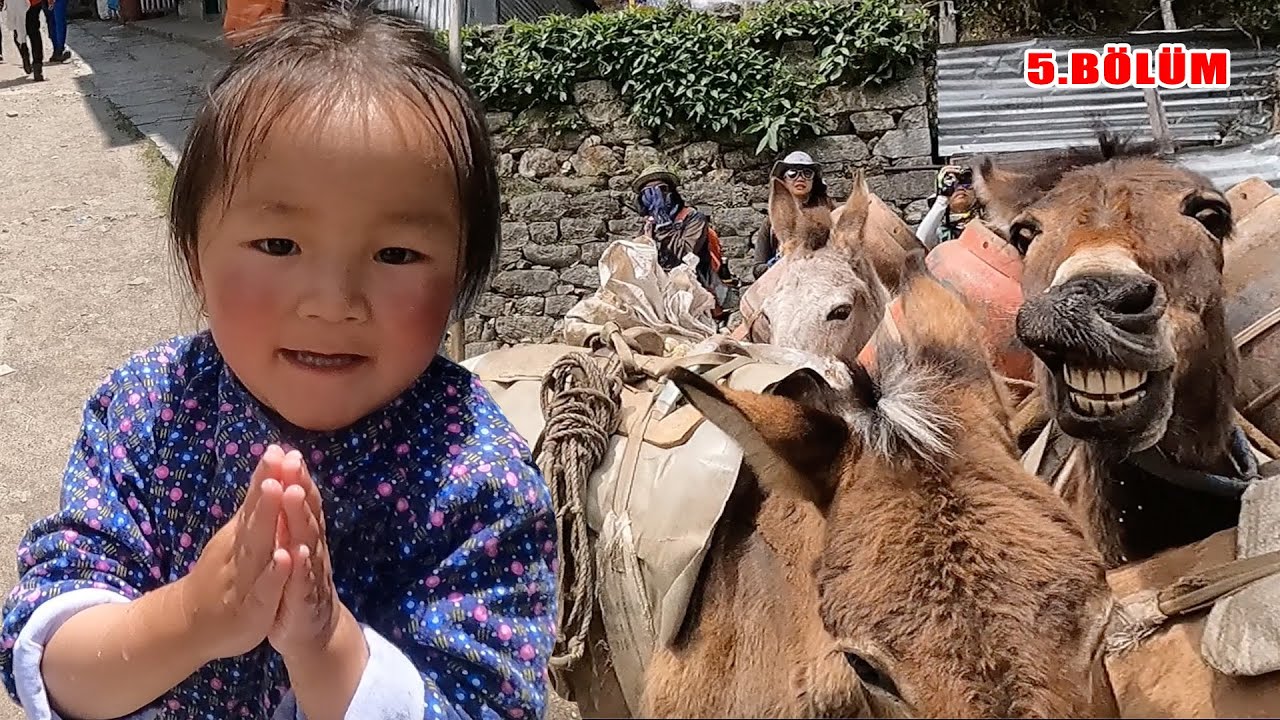 Я чуть не попал под ослов, продолжайте движение из красивых деревень /320
