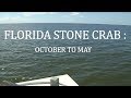 Florida Stone Crab: October to May