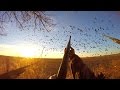 Goose Hunting Late Season on the X 2017