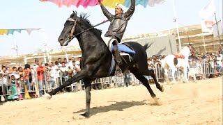 HORSE RIDERs at SARANGKHEDA Maharashtra || Indian Horses