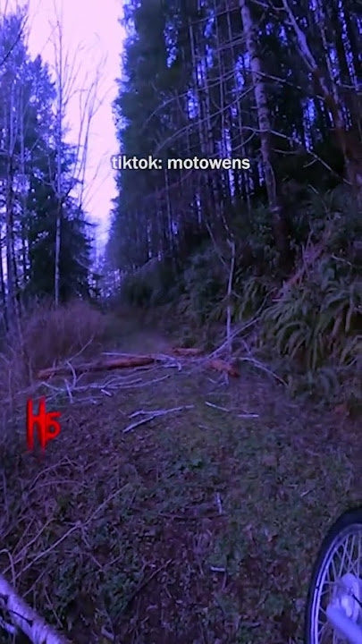 THE RAKE Captured on camera!? 😱 #scary #shorts #ghost