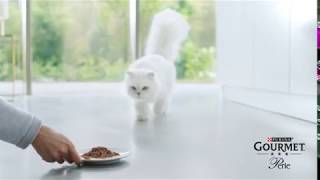 Prime Day 2019 Great Deals Gourmet Cat Food Perle Chefs Collection