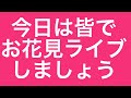 【フラワーアレンジメント制作ライブ】見たことない珍しい花材をつかいこなすコツ