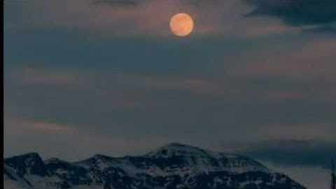 ياسر الزيلعي سورة الكهف