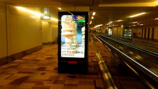IGI T3 Airport , International Arrival 19 12 2012