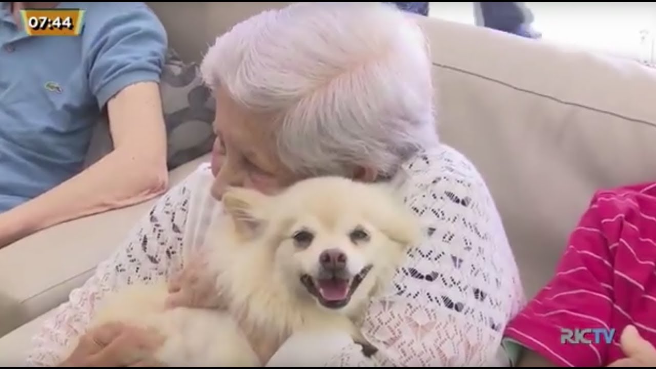 Grupo de idosos participa de terapia com cães no Sul do Estado ...