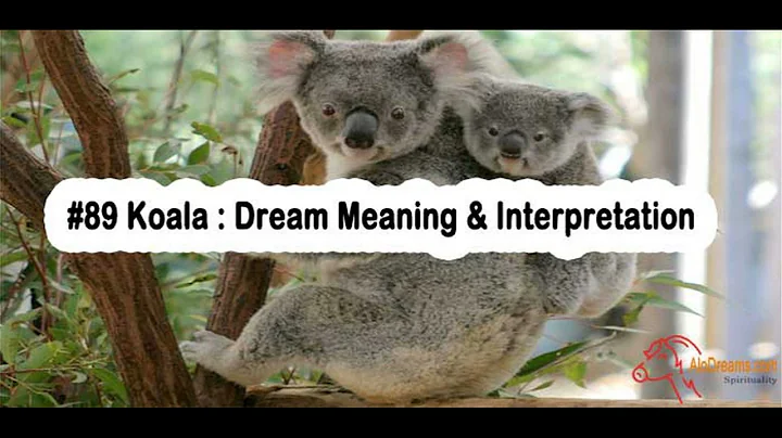 Drömtydning: Betydelsen av att drömma om en koala