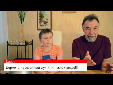 Фитонциды убивают вирусов. Коронавирус не исключение.