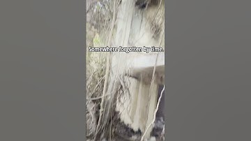 One Rule Every Urbex Explorer Must Follow…