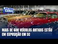 Criciúma recebe maior encontro de carros antigos de Santa Catarina