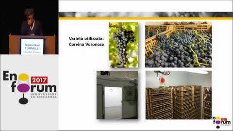 New tools for biocontrol in the fine wines production - experimental scope