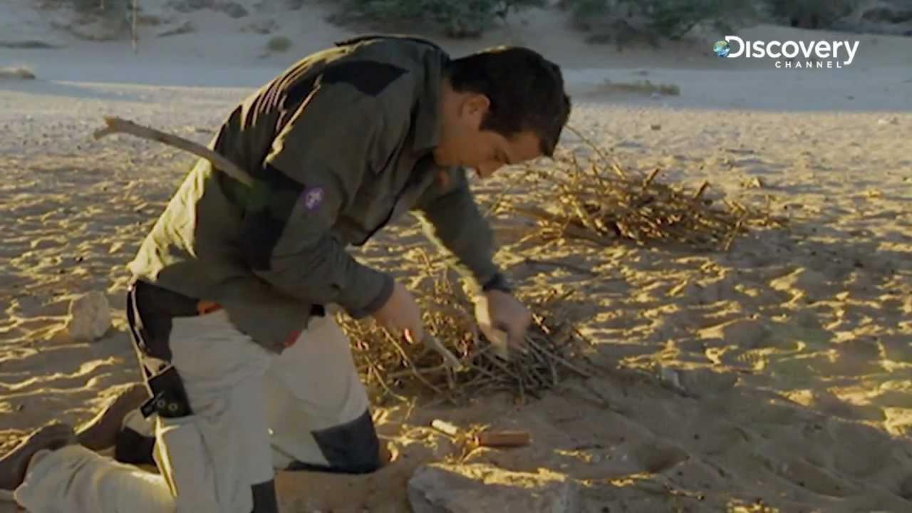 Bear Grylls, star of 'Treasure Island' and 'Man vs. Wild,' shares his  survival essentials