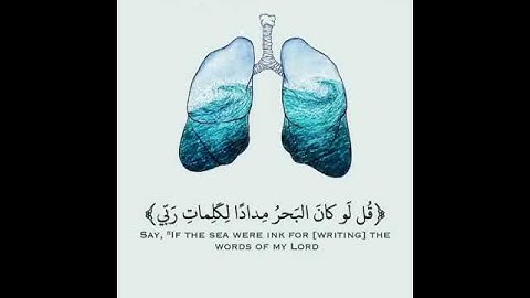 قران انستا مقطع من سوره الكهف