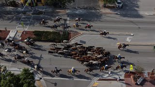 2023 Immokalee Cattle Drive and Jamboree