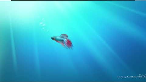 Windows 7 Build 7068