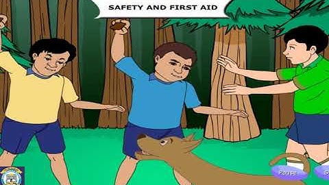 Class 2 EVS Ch 6 Safety and First Aid