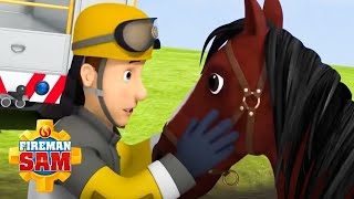 Noble corcel | Sam el bombero en inglés | Dibujos animados
