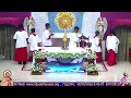27-05-2026  Wednesday   6.am &amp;7.am Holy Mass  St Joseph Church  &amp; St JUDE Shrine Thevara