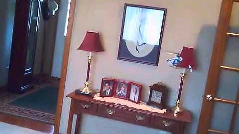 mSRX Blade CG Adjusted