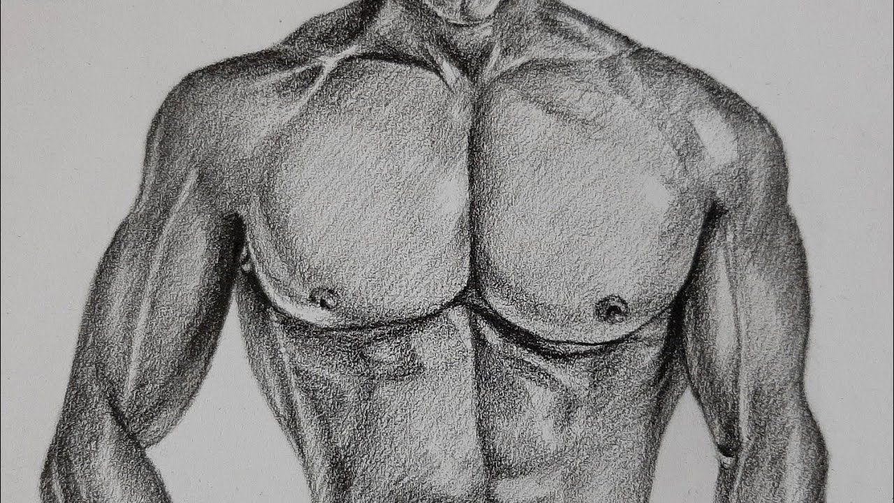 Muscular Chest Drawing Youtube