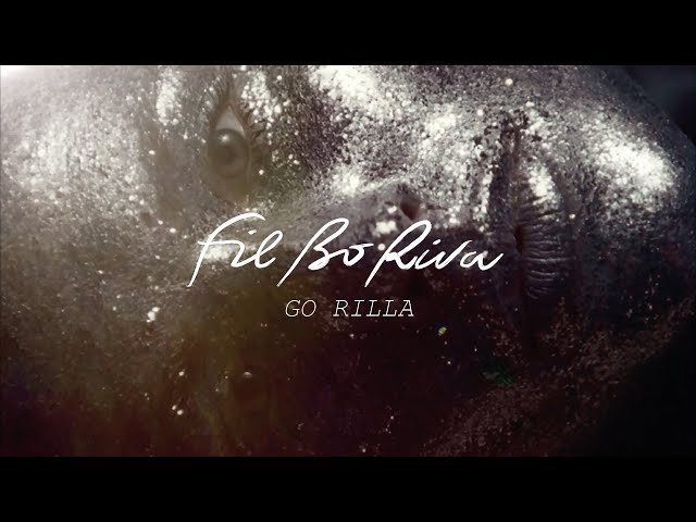 Fil Bo Riva - Go Rilla