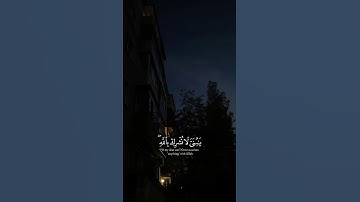 #المصحف الشيخ محمد صديق المنشاوي رحمه الله سورة لقمان