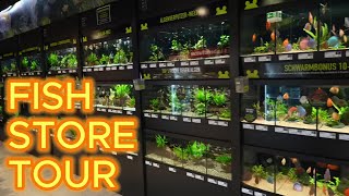 England Uk - Exotic Fish Store Tour 2024