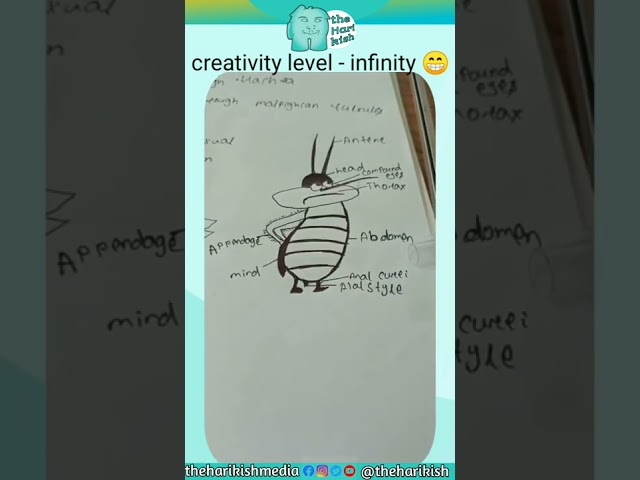 creativity level infinity 😁 #shorts #creativity#school #memes #memesdaily #memeit#ytdaily class=